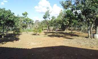 Imagem 2: Chácara 2 Hectares Chacara De 20.000M2, São 20.000M2!. DN6UNS