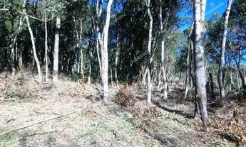 Imagem 5: Excelente Chácara Sem Benfeitorias