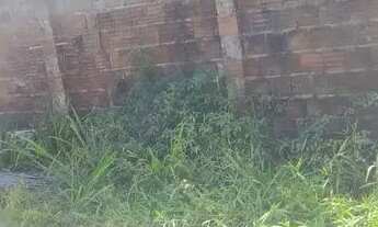 Imagem 6: Terreno bem localizado próximo ao posto forene ceasa aeroporto shopping