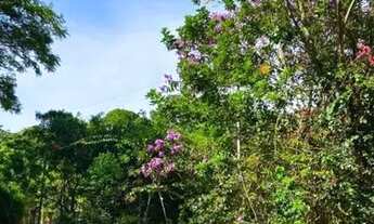 Imagem 5: Aluguel anual Campeche próximo da praia (550m