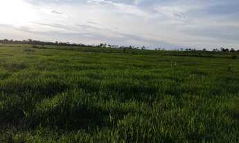 Imagem 7: Fazenda para arrendamento vale do Araguaia ou venda