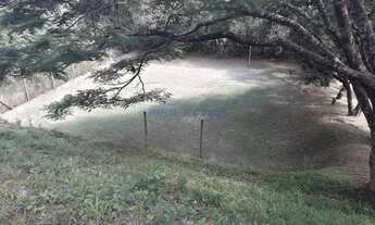 Imagem 7: Casa - Joaquim Egídio - Campinas