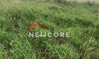 Imagem 5: Fazenda em Quijingue - Centro - Quijingue/BA