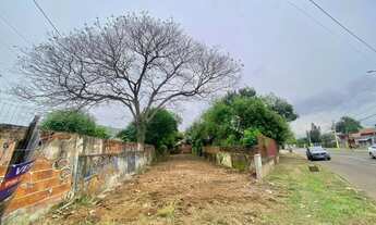 Imagem 3: Terreno proximo BR / Estadio do Aimore - São Leopoldo