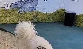 Imagem 5: Apartamento com 2 dormitórios à venda, 50 m² por R$ 160.000,00 - Barra do Ceará - Fortalez