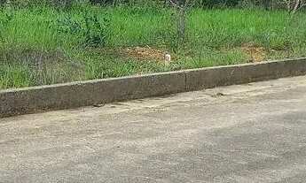 Imagem: CHÁCARAS com 1500 mts, financiados- R$13.770,00