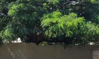 Imagem 7: Kitnet St. Universitário