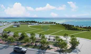 Imagem 7: Seu Futuro no Paraíso: Terreno em Maragogi!