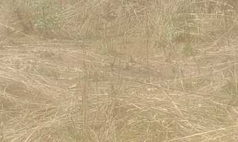 Imagem 5: Chacaras na região di jardim mateus leme