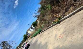 Imagem 2: TERRENO NO CIDADE INDUSTRIAL