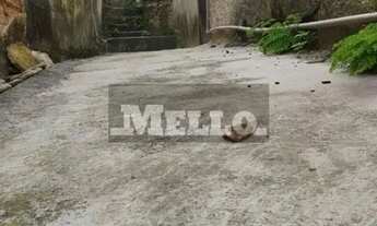 Imagem 6: Terreno, Vila Pompéia - São Paulo