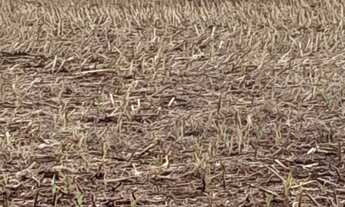 Imagem: Fazendas em todo Brasil