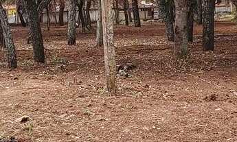 Imagem 5: SÓ ESSA SEMANA NÃO PERCA A OPORTUNIDADE!