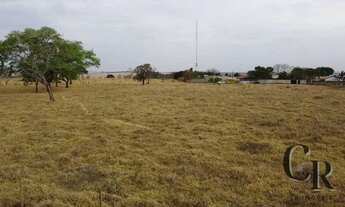 Imagem 3: Oportunidade - Chácara em Roselândia GO