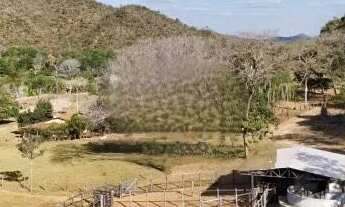 Imagem 3: Fazenda à Venda, 75 hectares, a 21 Km de Uruaçu-Go