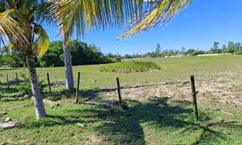 Imagem 3: GRUSSAÍ - Sítio na BR-356 - Curva de Grussaí