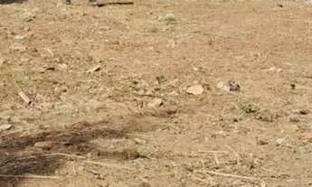 Imagem 6: Vendo terreno na cidade de Monte Alto Aceito Financiamento