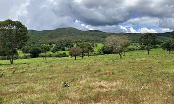 Imagem 6: Fazenda em Campinaçu-Go de 201.9 alqueires