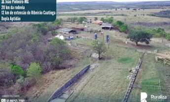 Imagem: FAZENDA EM JOÃO PINHEIRO-MG