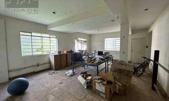 Imagem 2: Oportunidade clinicas