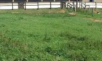 Imagem 4: Magnífico Haras em Curitiba - Tijucas do Sul