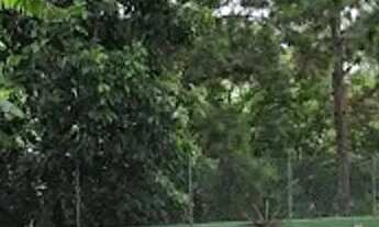 Imagem 7: Casa à venda em Santana de Parnaíba, Alphaville, com 4 suítes, com 500 m², Residencial Dez