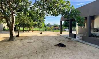 Imagem 7: Sitio de 7 hectares na região barreiro branco no município de Nossa Senhora do L