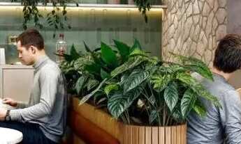 Imagem 3: Domani - Oportunidade. Lançamento com tabela especial