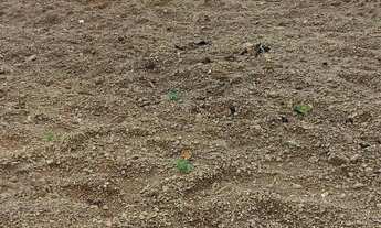 Imagem 2: Chácara Chácara com venda por R$130.000