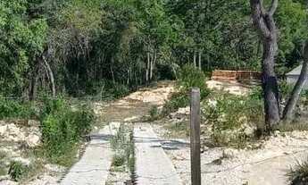 Imagem 7: Terreno em Taquaracu de Minas