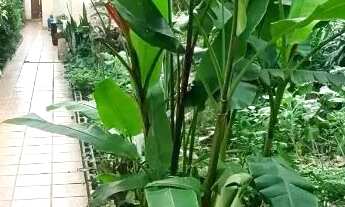 Imagem 6: Sobrado para venda e locação em Brooklin com 3 quartos , 170m²