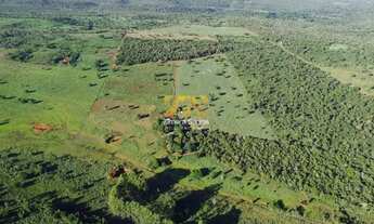 Imagem 4: Chácara, 7.5 alqueires - Próximo ao Município de Palmas - Palmas/TO