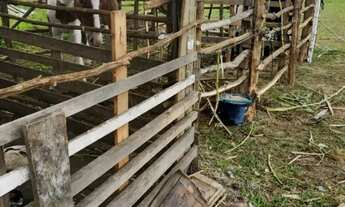 Imagem 6: Sítio Casa com 1 dormitório