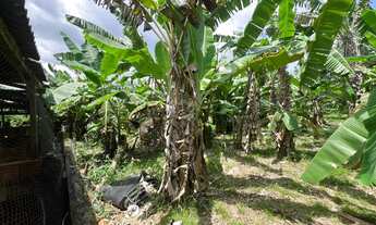 Imagem 7: Chácara Chácara com venda por R$180.000