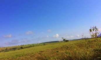 Imagem 6: Fazenda de pequeno porte para arrendamento - Imperdível