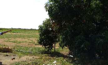 Imagem 3: Lote no projeto senador Nilo Coelho n9