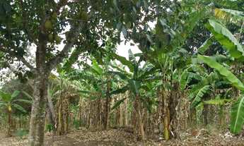 Imagem 6: Sitio borborema-PB