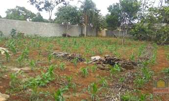 Imagem 3: Excelente Área para Construtoras