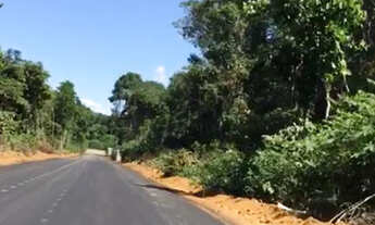 Imagem 3: Tranferencia lote 1650m Nas Chacaras RioNegro já pode construir