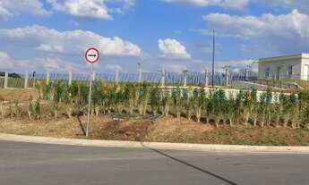 Imagem 7: Lotes residenciais a partir de 500 m² ; Villa dos Pinheiros é o loteamento com a maior áre