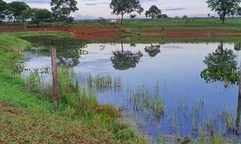 Imagem 6: Oportunidade de Negocio Fazenda com 49 alqueires