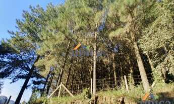 Imagem 2: Terreno - Campo Alegre/SC