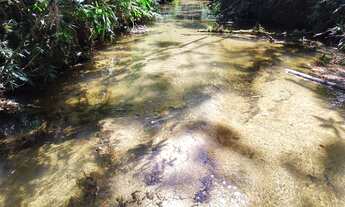 Imagem 3: 6800 mts com ribeirão.casa pitoresca 100 mil reais estudo próposta