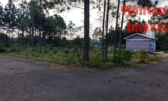 Imagem 2: Capão Novo - Terreno padrão - posto 9 village