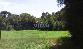 Imagem 3: Chácara - CAMPO ALEGRE/SC