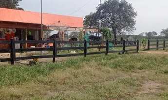 Imagem: Excelente Fazenda Município Porto Alegre