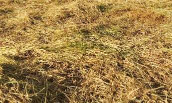 Imagem 2: Terreno - Bairro do Jardim Alvorada - Jacareí - 205,47m²