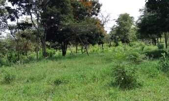 Imagem 5: Terreno para Venda em Ribeirão das Neves, Hortinha