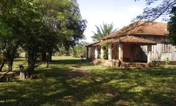 Imagem 3: Fazenda de 200 alqueires na região de Presidente Prudente dupla aptidão terra de cultura