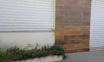 Imagem: JARDIM DOS COLIBRIS / Indaiatuba/ SP